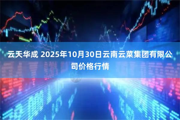 云天华成 2025年10月30日云南云菜集团有限公司价格行情
