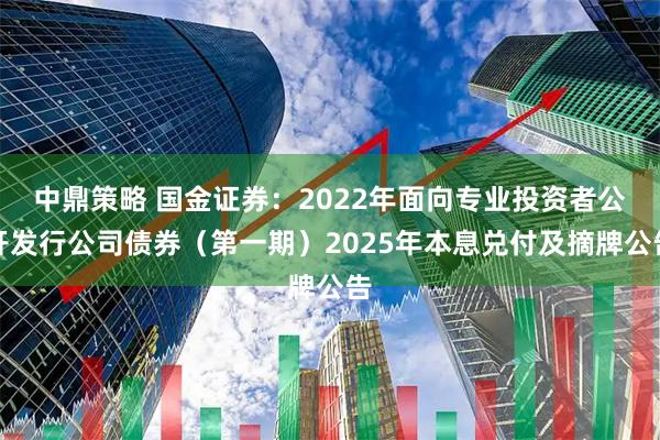 中鼎策略 国金证券：2022年面向专业投资者公开发行公司债券（第一期）2025年本息兑付及摘牌公告