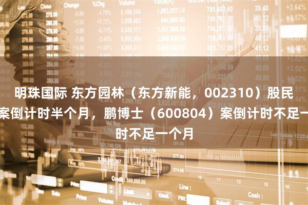 明珠国际 东方园林（东方新能，002310）股民索赔案倒计时半个月，鹏博士（600804）案倒计时不足一个月